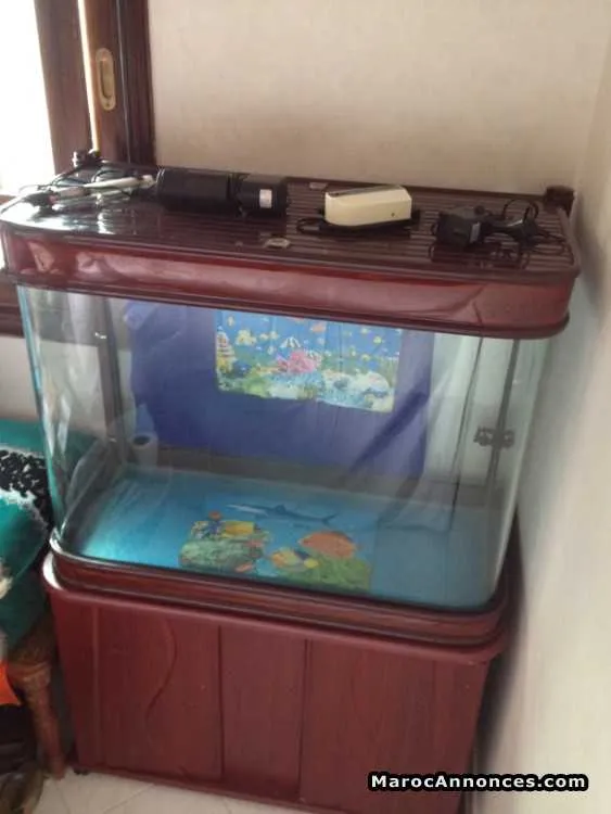 Aquarium - سلا (3)