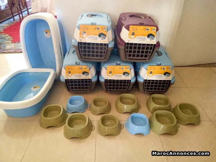 Cages neuf pour chat est chiot - الرباط