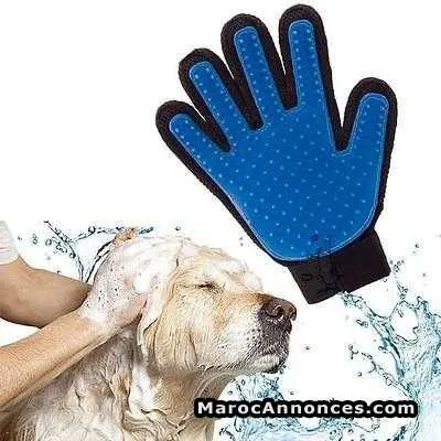 Gant magique pour chiens et chats - مراكش (2)