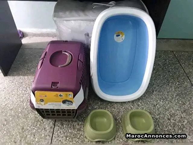 Accessoires neuf pour chat est chien - الرباط (3)