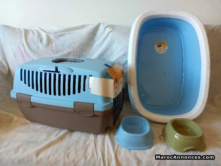 Accessoires neuf pour chat est chiot - الرباط (2)