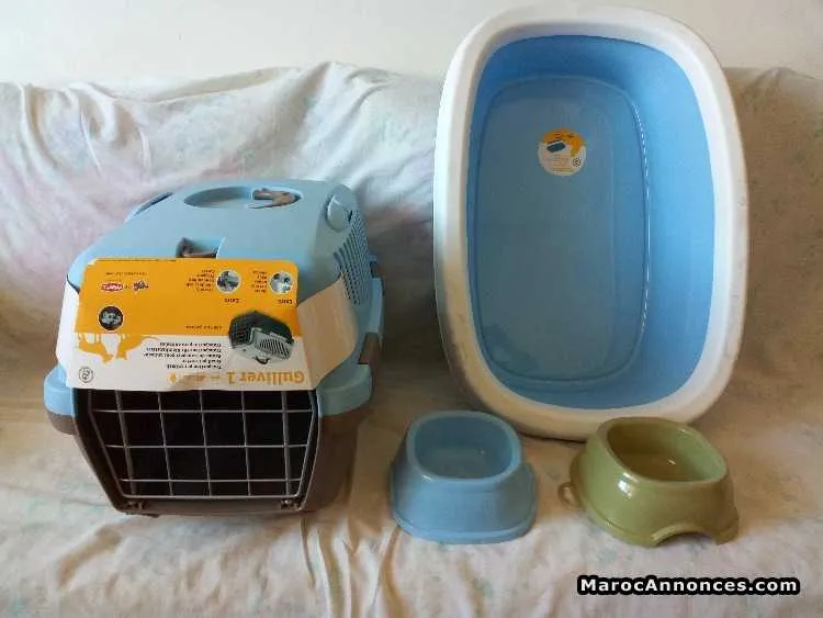 Accessoires neuf pour chat est chiot - الرباط