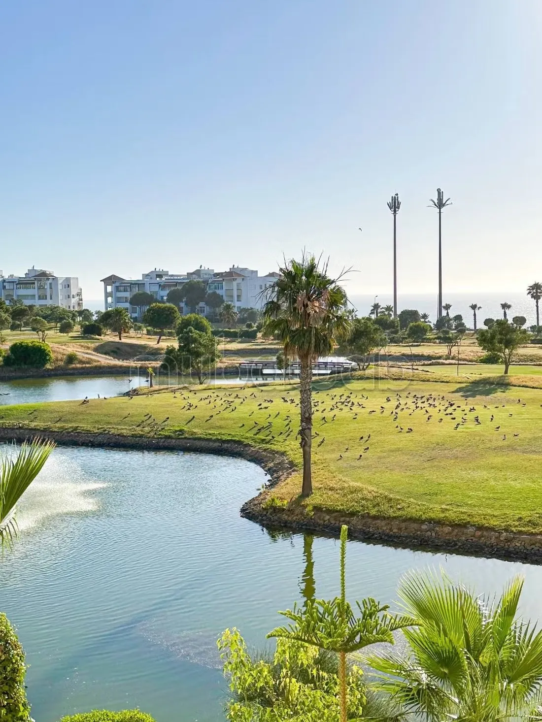 Asilah marina golf projet touristique appartement à vendre - أصيلة