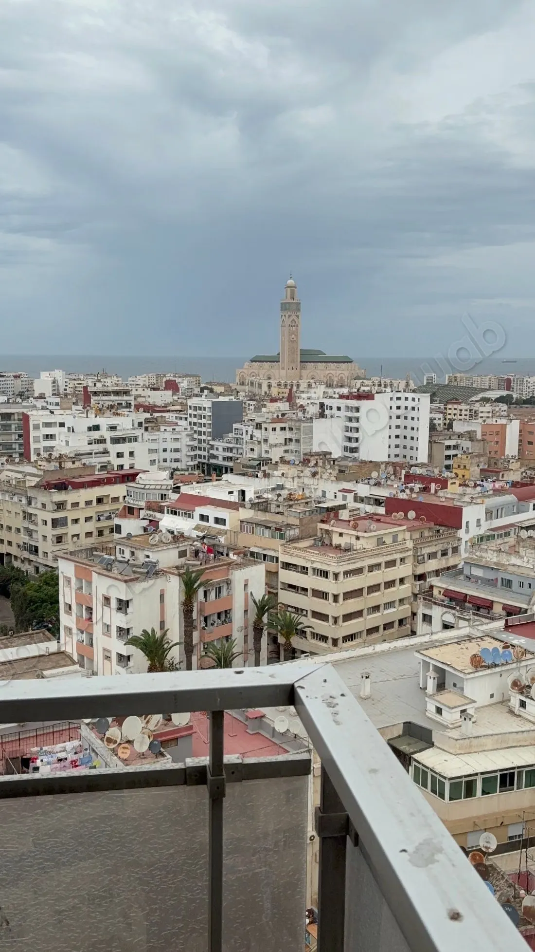 Très bel appartement en location à Lusitania. 
1 Pièce. Asce... - الدار البيضاء