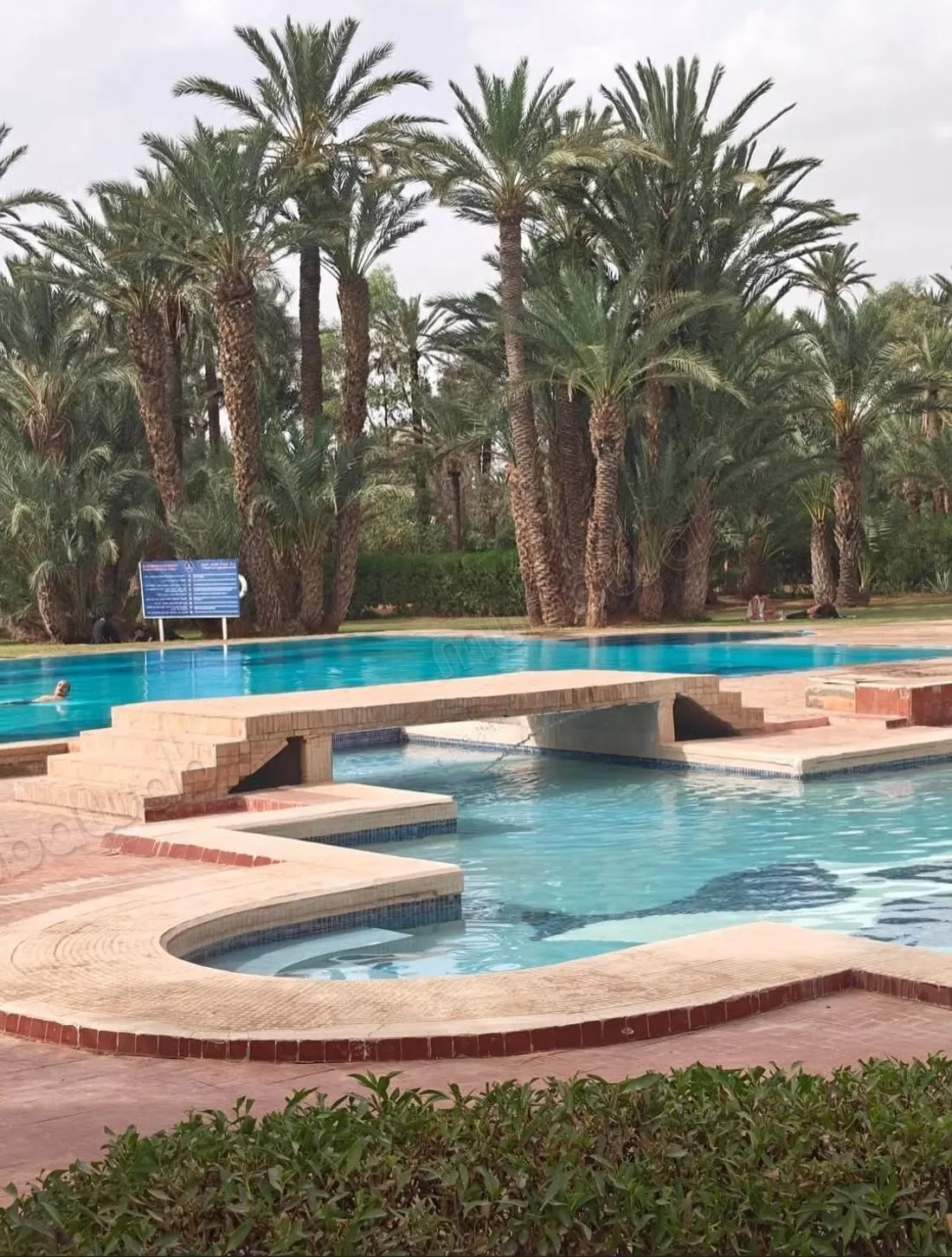 Magnifique RDJ 125m100m jardin - مراكش (2)