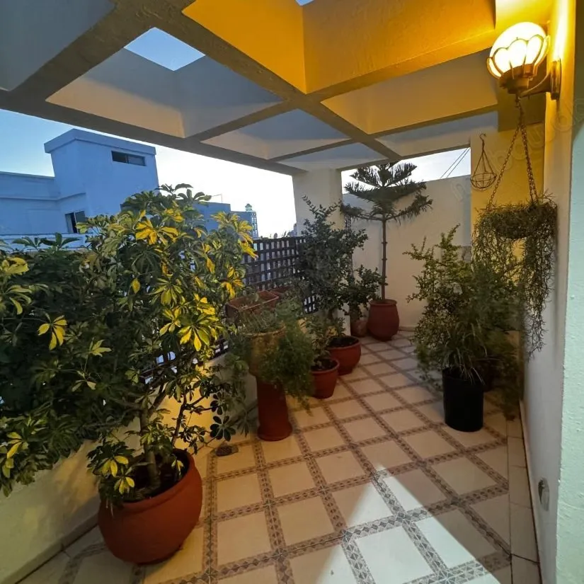 Très bel appartement en location à Beauséjour. 
2 belles cha... - الدار البيضاء (2)