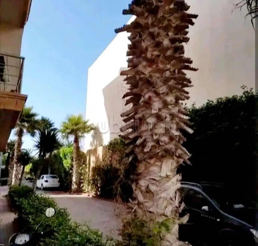 Location saisonnière à Bab Al Bahar. 2 grandes pièces. Terra... - الصويرة (3)