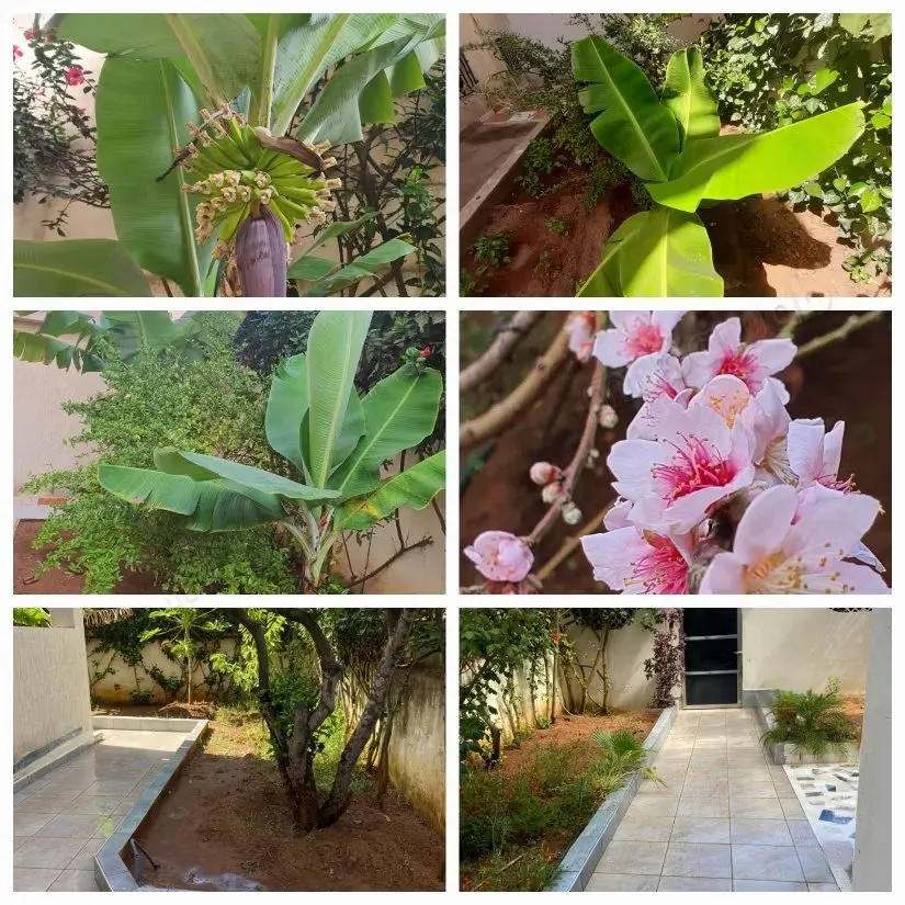 Appartement à louer à 3 min du centre ville - الجديدة (3)