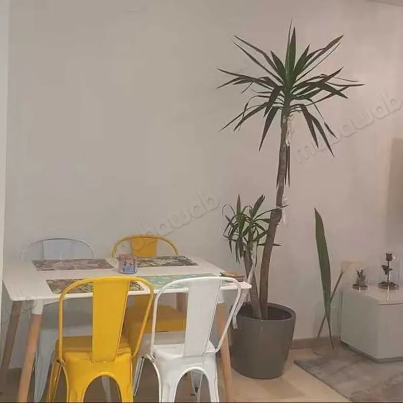 Appartement à Vendre de 70.0 m² à Casablanca, Bourgogne Sidi... - الدار البيضاء (2)