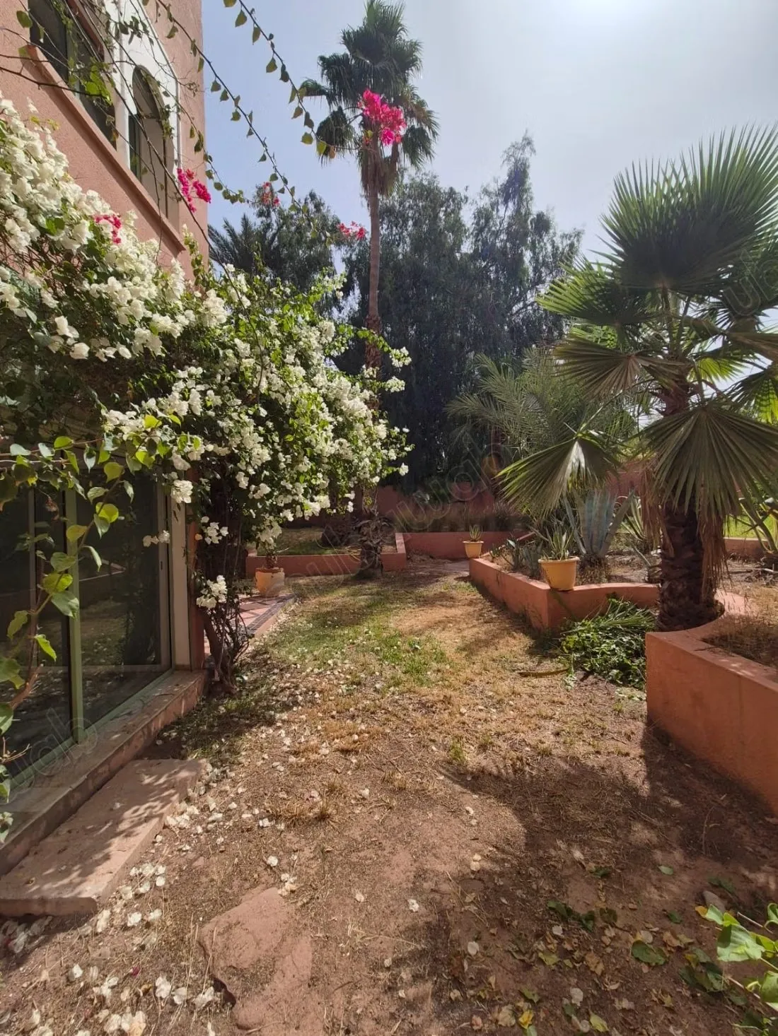 Dans residence gardée avec piscines, palmeraie 1, superbe du... - مراكش (3)