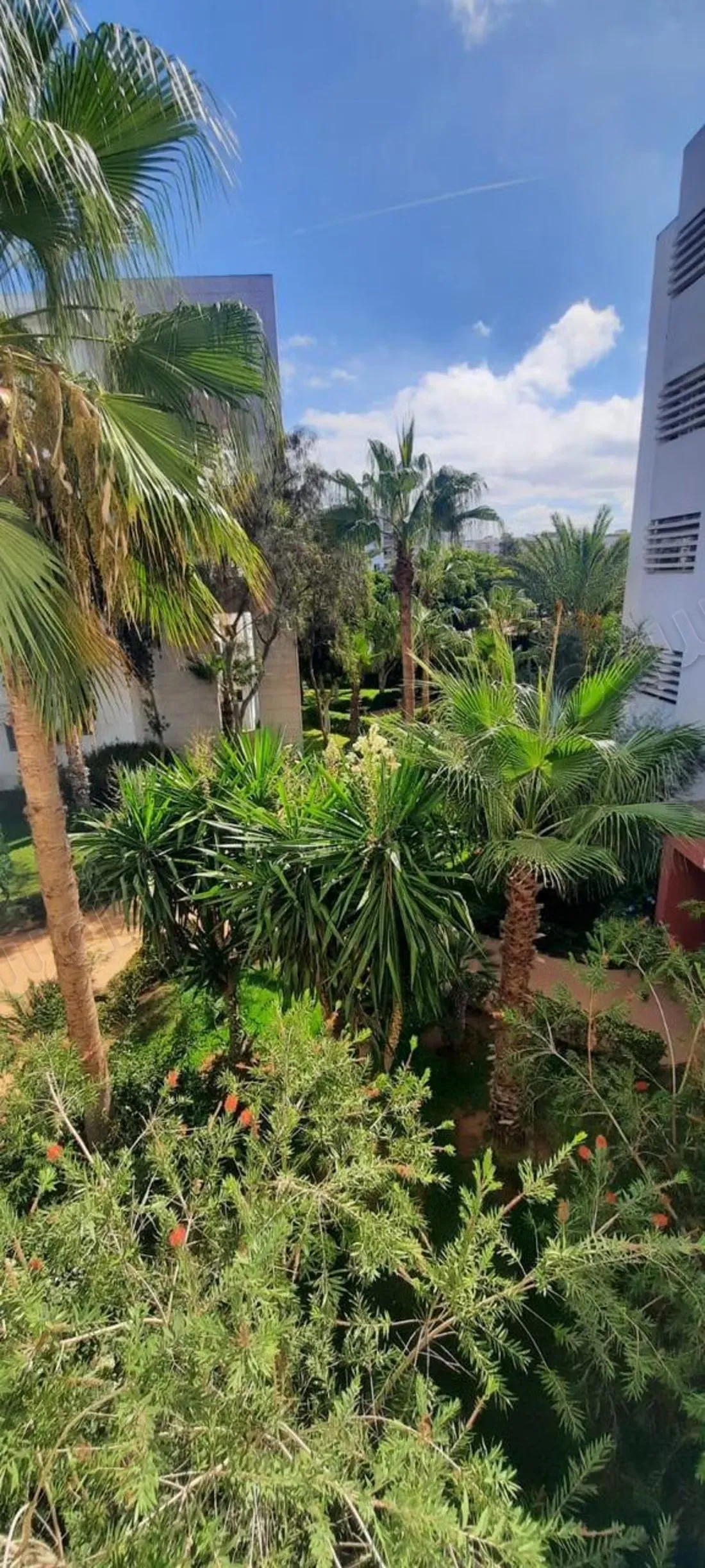 Location d'un appartement à Riyad Extension. Superficie 120... - الرباط (2)
