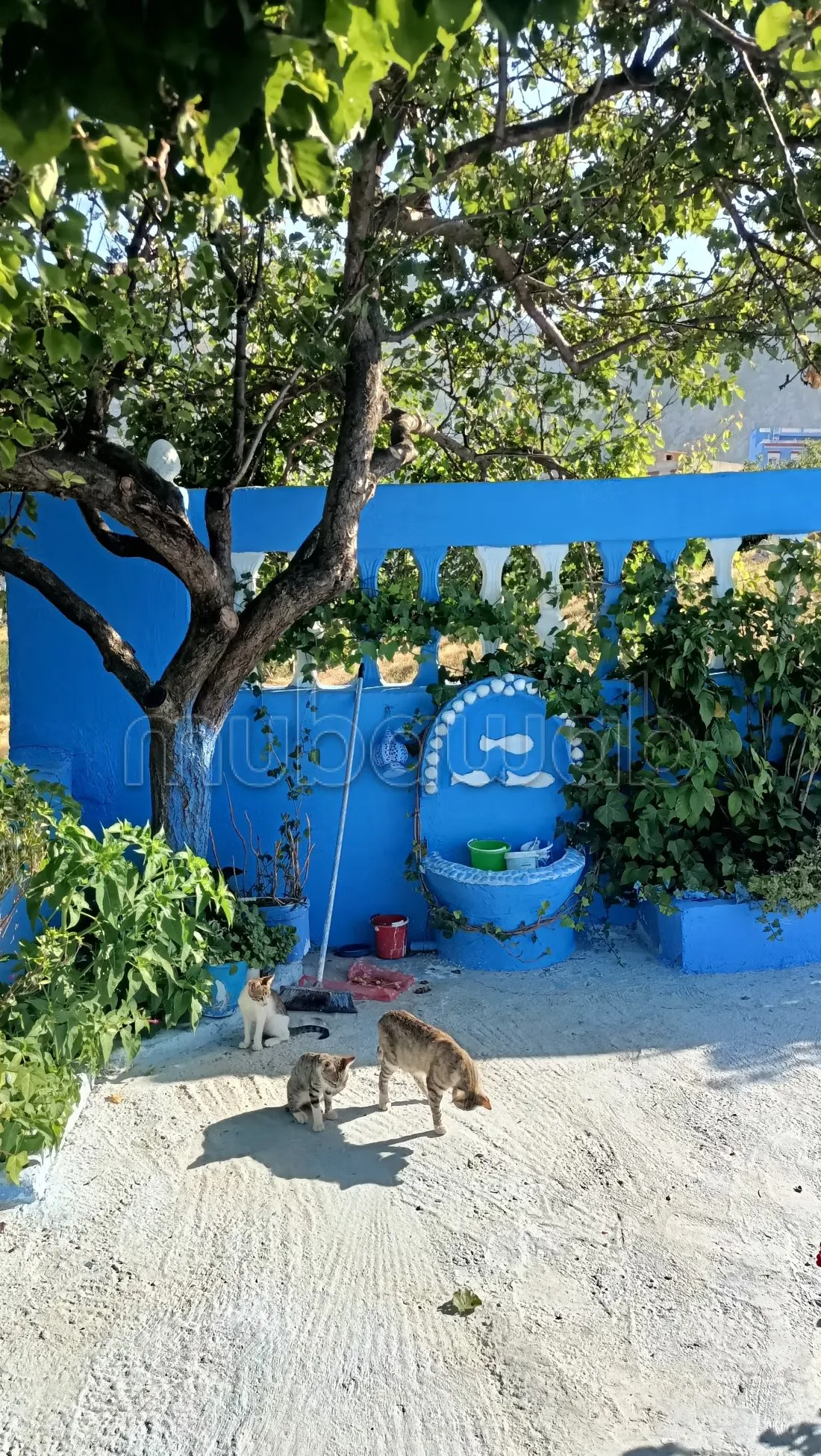 Appartement à louer à Chefchaouen. 2 chambres confortables... - شفشاون (3)