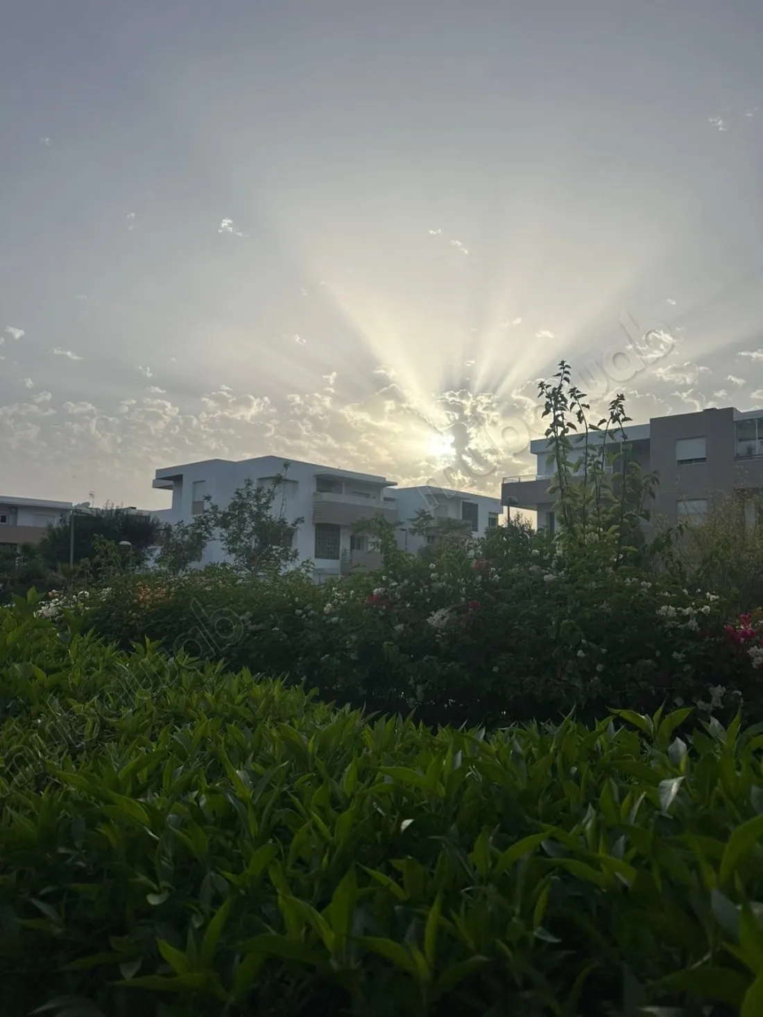 Appartement 2 chambres avec jardin & piscines — Imi Ouaddar - Tamri