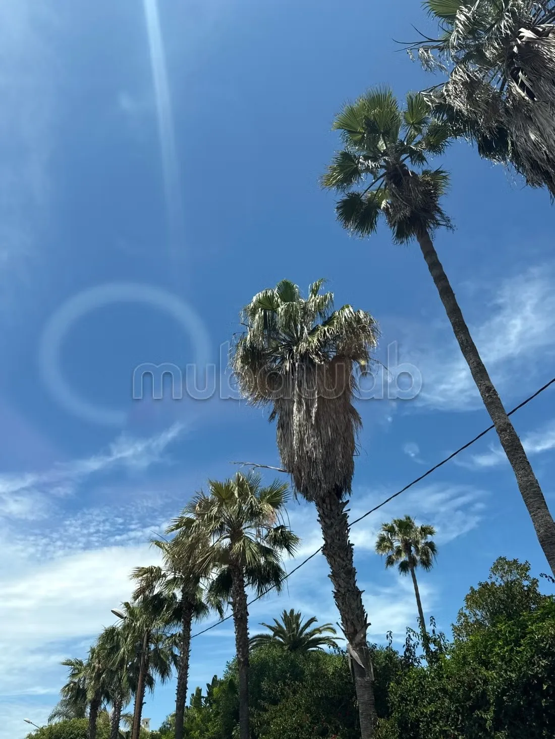 Villa de luxe à vendre – Propriété d’exception de 2 000 m² 
... - الدار البيضاء (2)