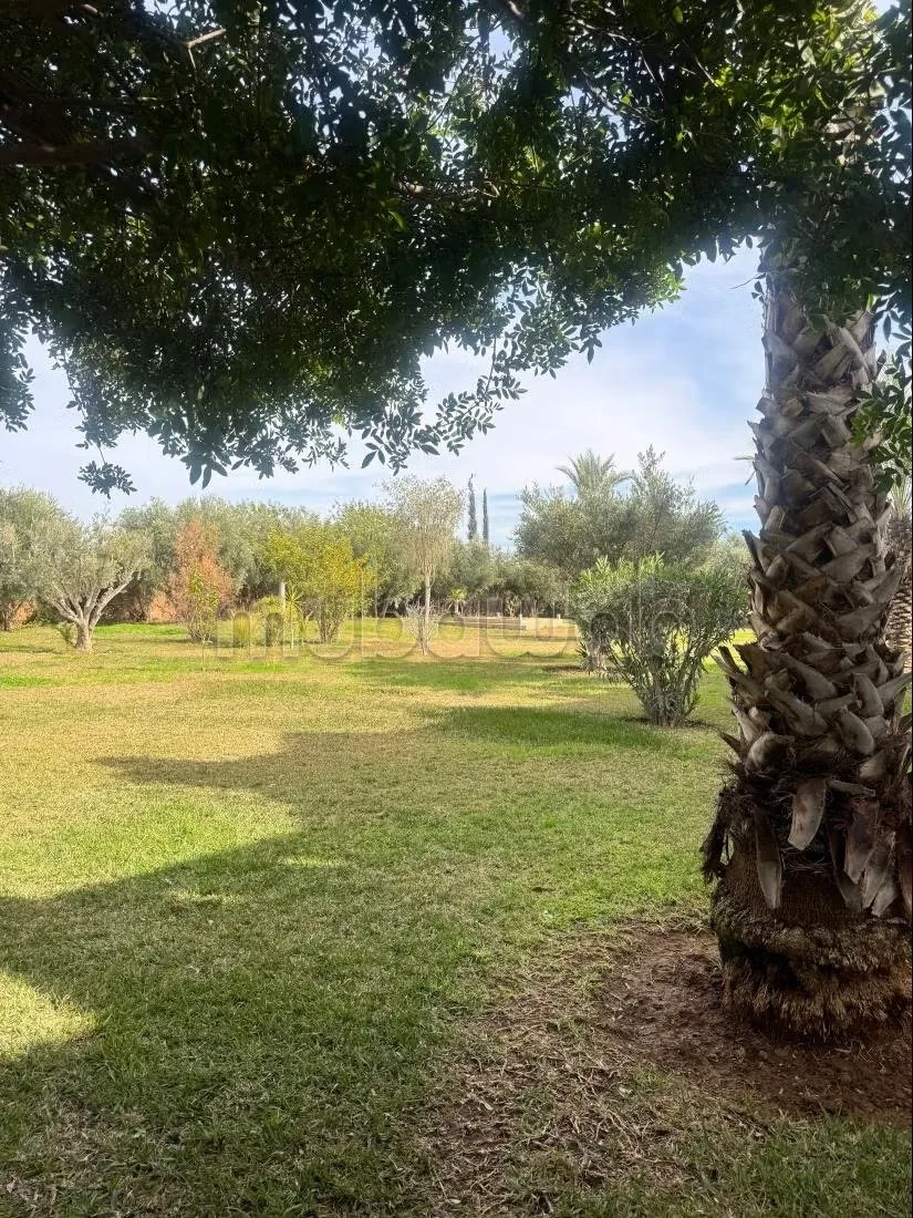 Vente villa de luxe à Route de Ouarzazate. 5 chambres confor... - مراكش (3)