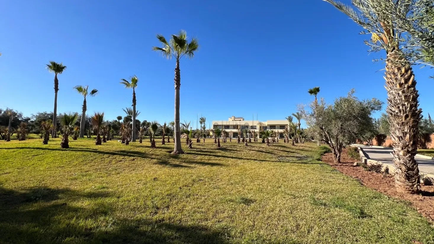 À Vendre villa de Prestige sur 2 Hectares - مراكش (2)