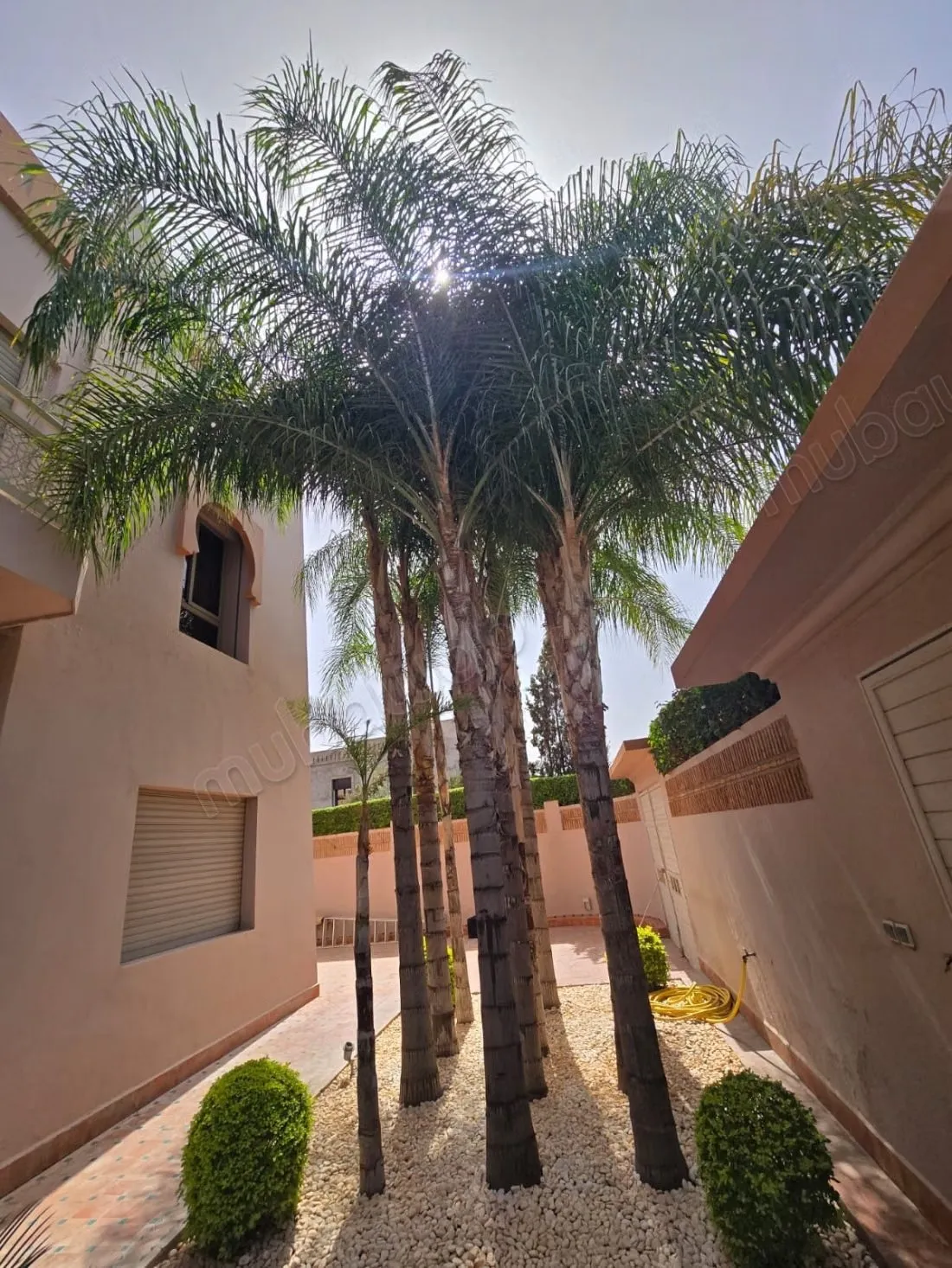 Offre exceptionnel villa agdal - مراكش (3)