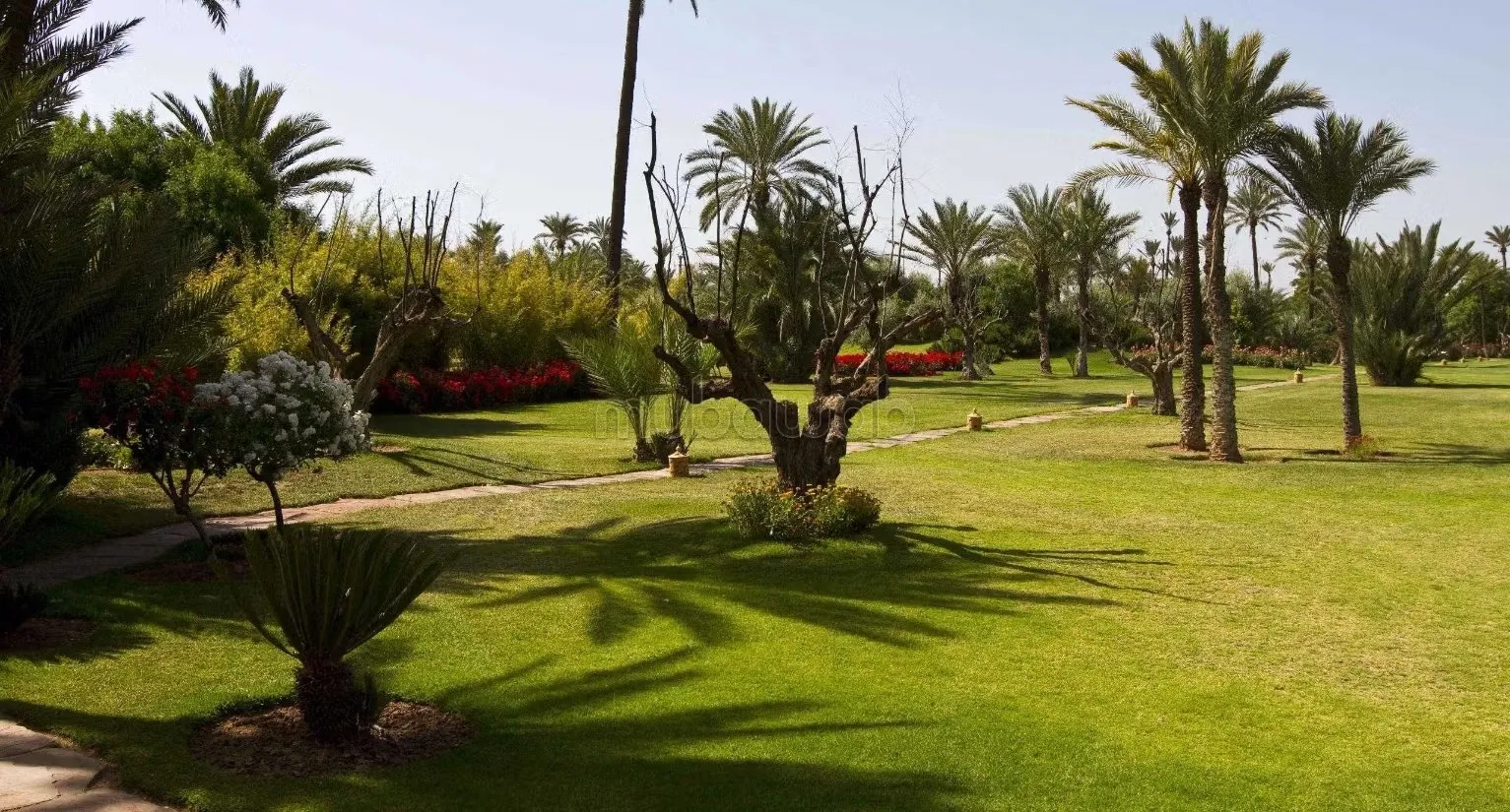 Villa de 4875 m2 bien située à Californie 
AFFAIRE - الدار البيضاء