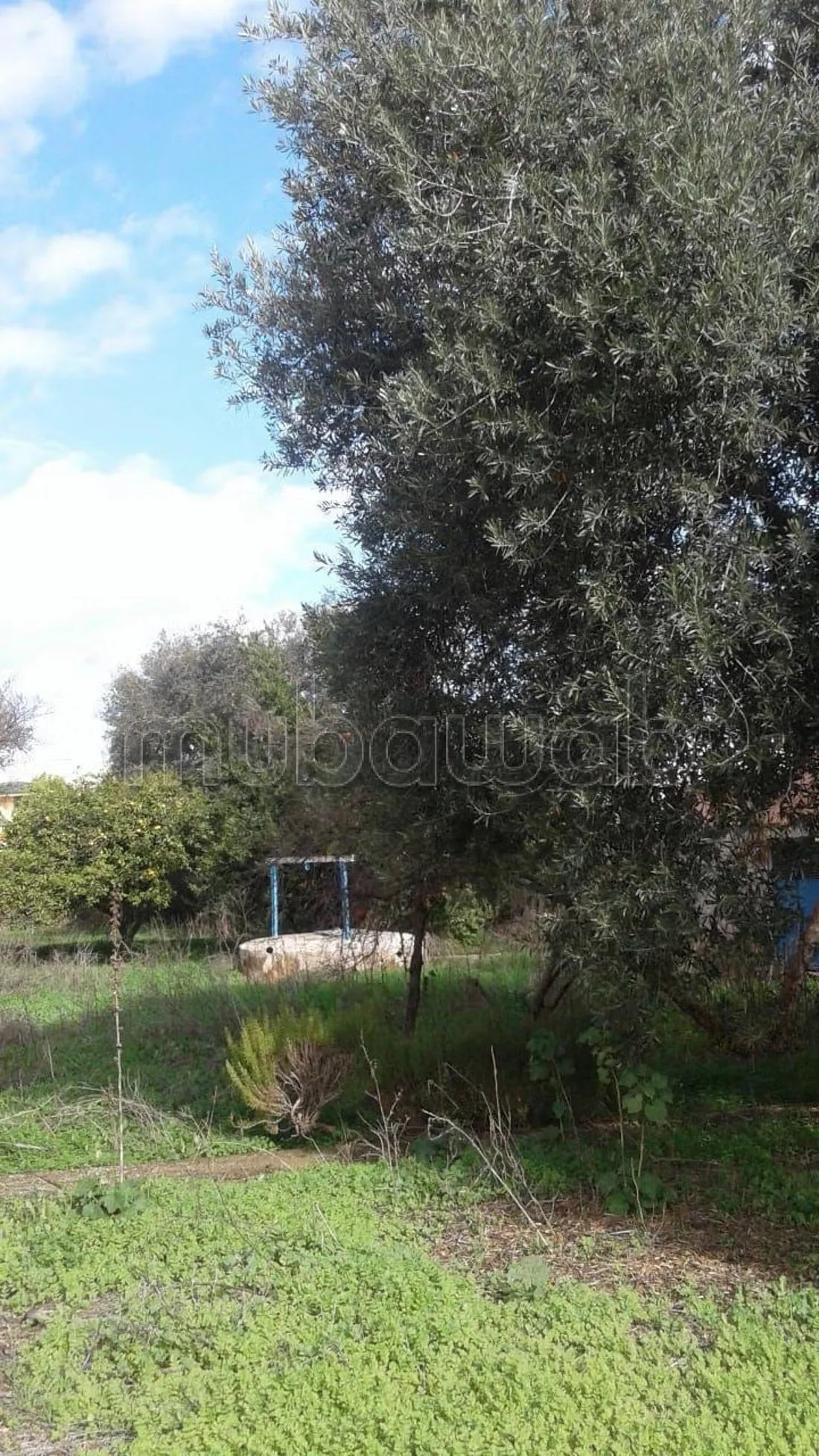 Villa à vendre - مكناس (2)