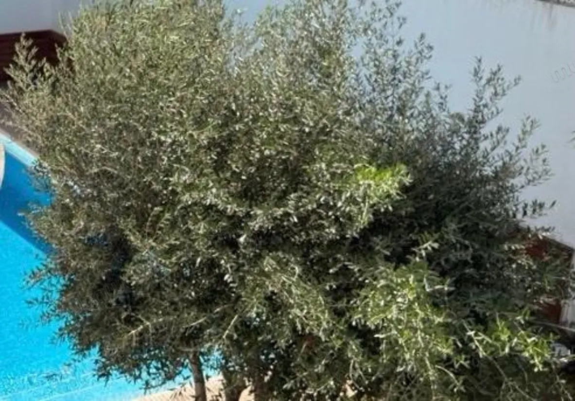 Villa à vendre – chantilly - الدار البيضاء