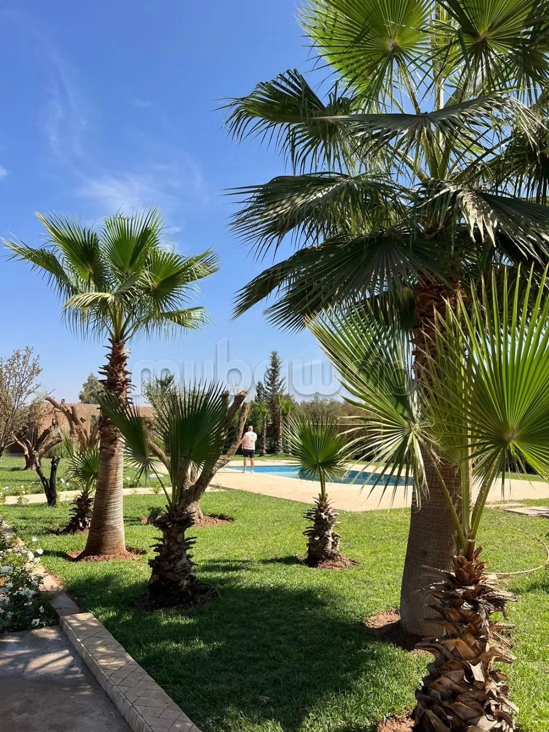 Splendide villa à vendre à Route de l'Ourika. 9 chambres agr... - مراكش (3)