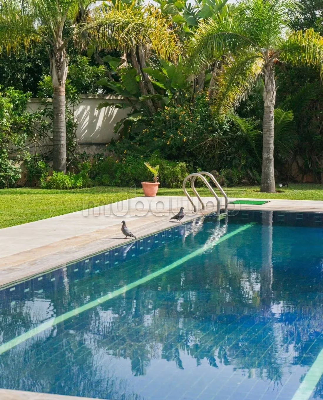 Somptueuse villa moderne à vendre à Anfa Supérieur 2000 m² - الدار البيضاء (2)