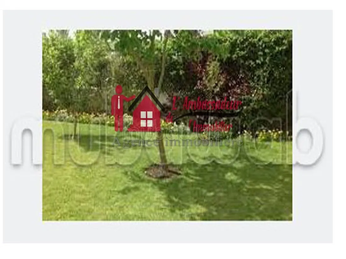 Villa de 715 m2 en plein CIL AFFAIRE A SAISIR - الدار البيضاء (2)