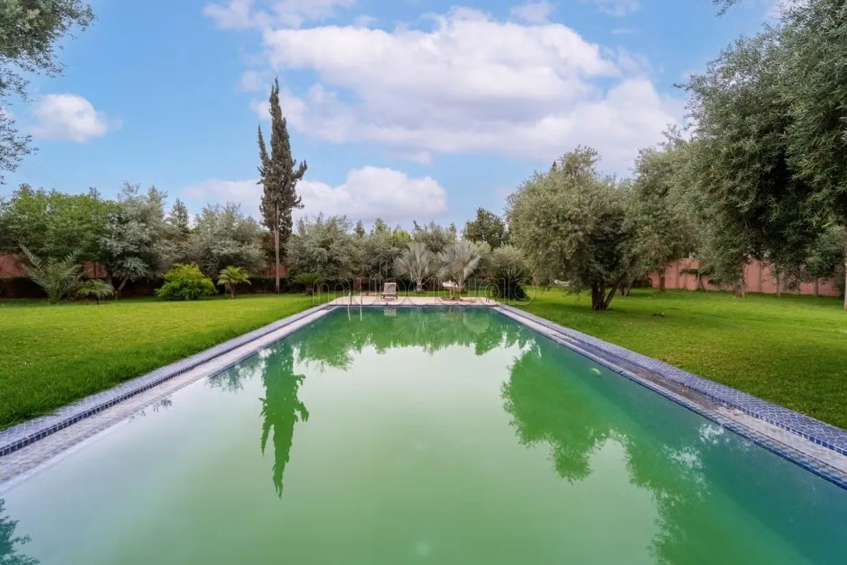 Marrakech I Palmeraie - مراكش (3)