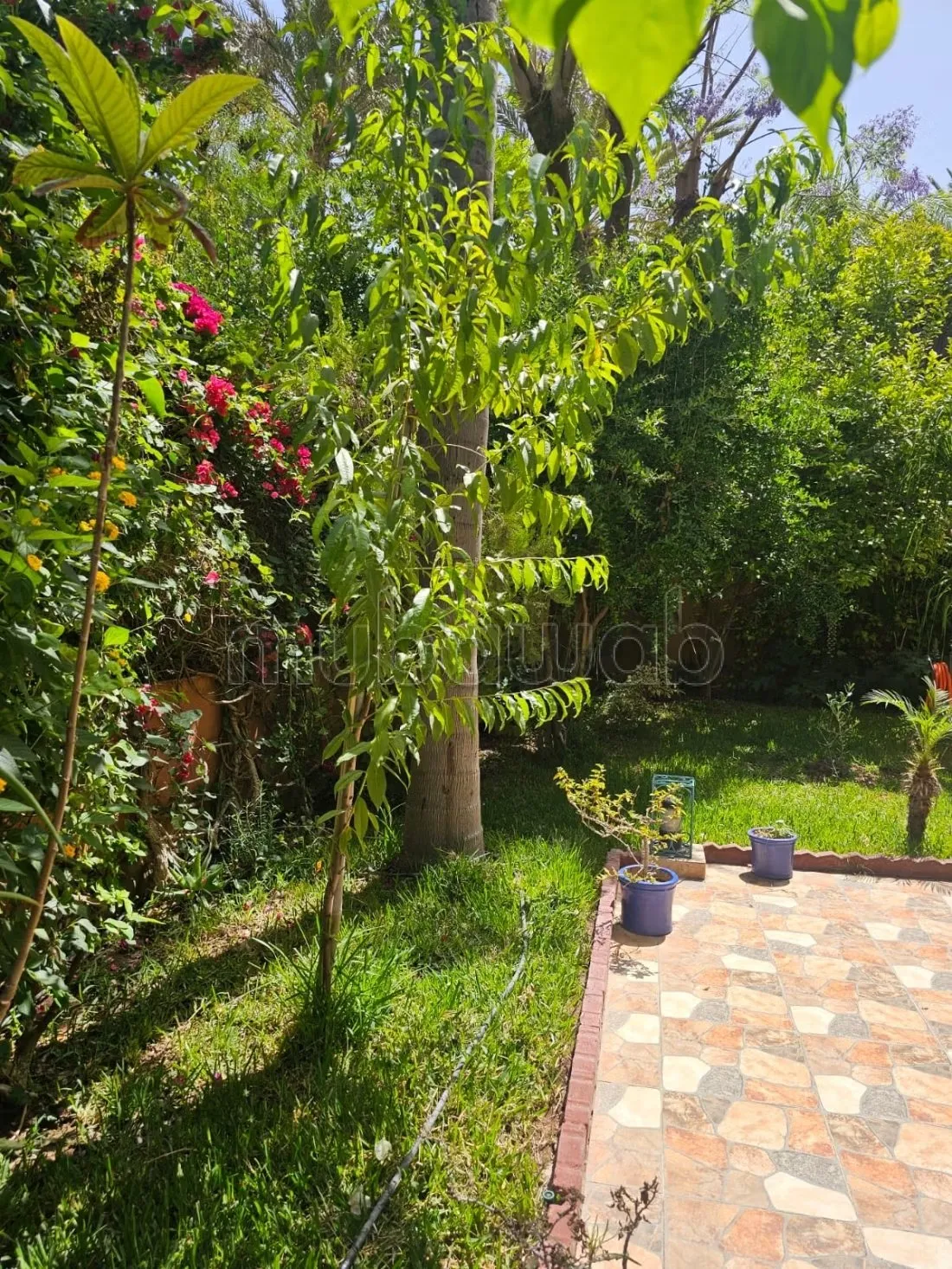 Villa d'exception meublée à vendre à targa - مراكش (2)