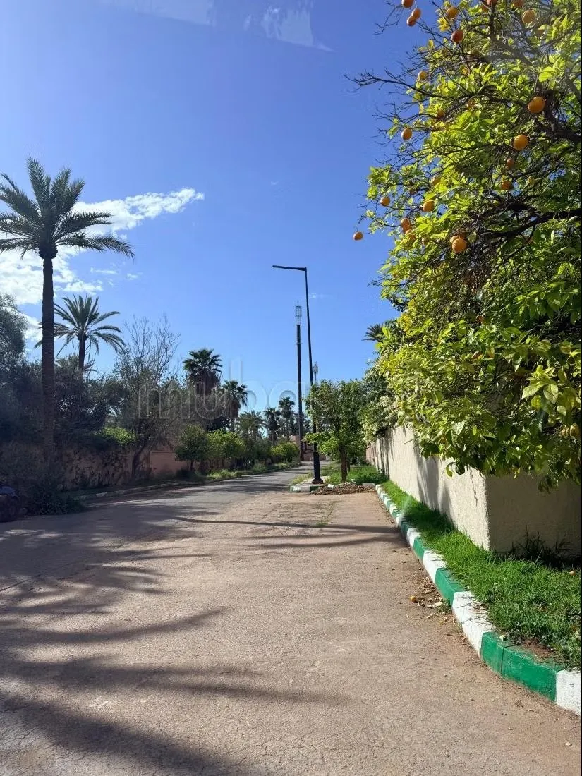 Villa d’exception triangle d’or palmeraie produit rare & con... - مراكش