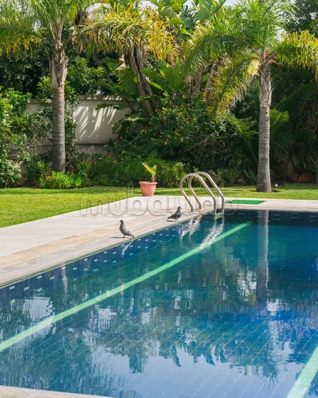 Splendide villa à vendre à Anfa Supérieur. 5 belles chambres... - الدار البيضاء