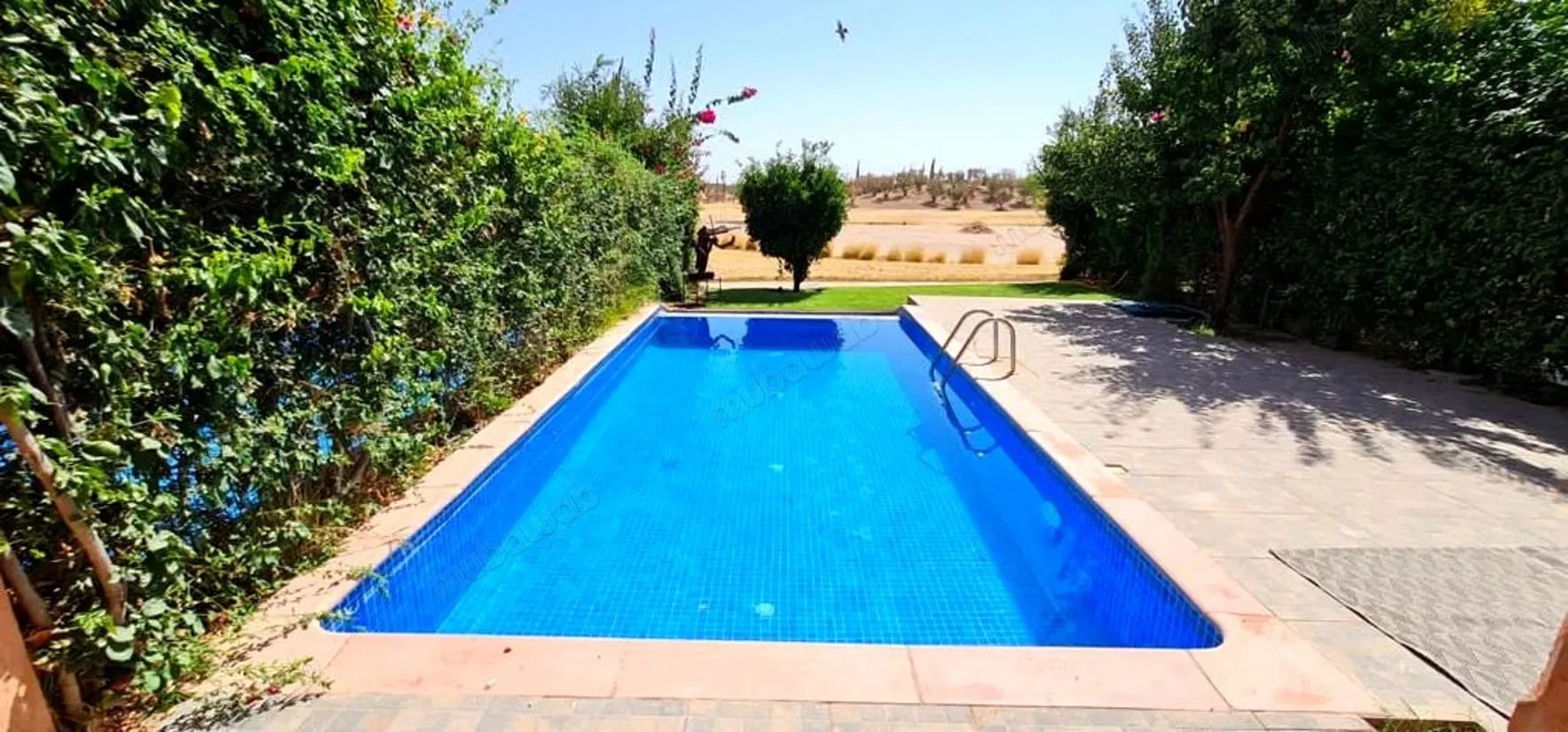 Villa piscine Golf - مراكش (3)