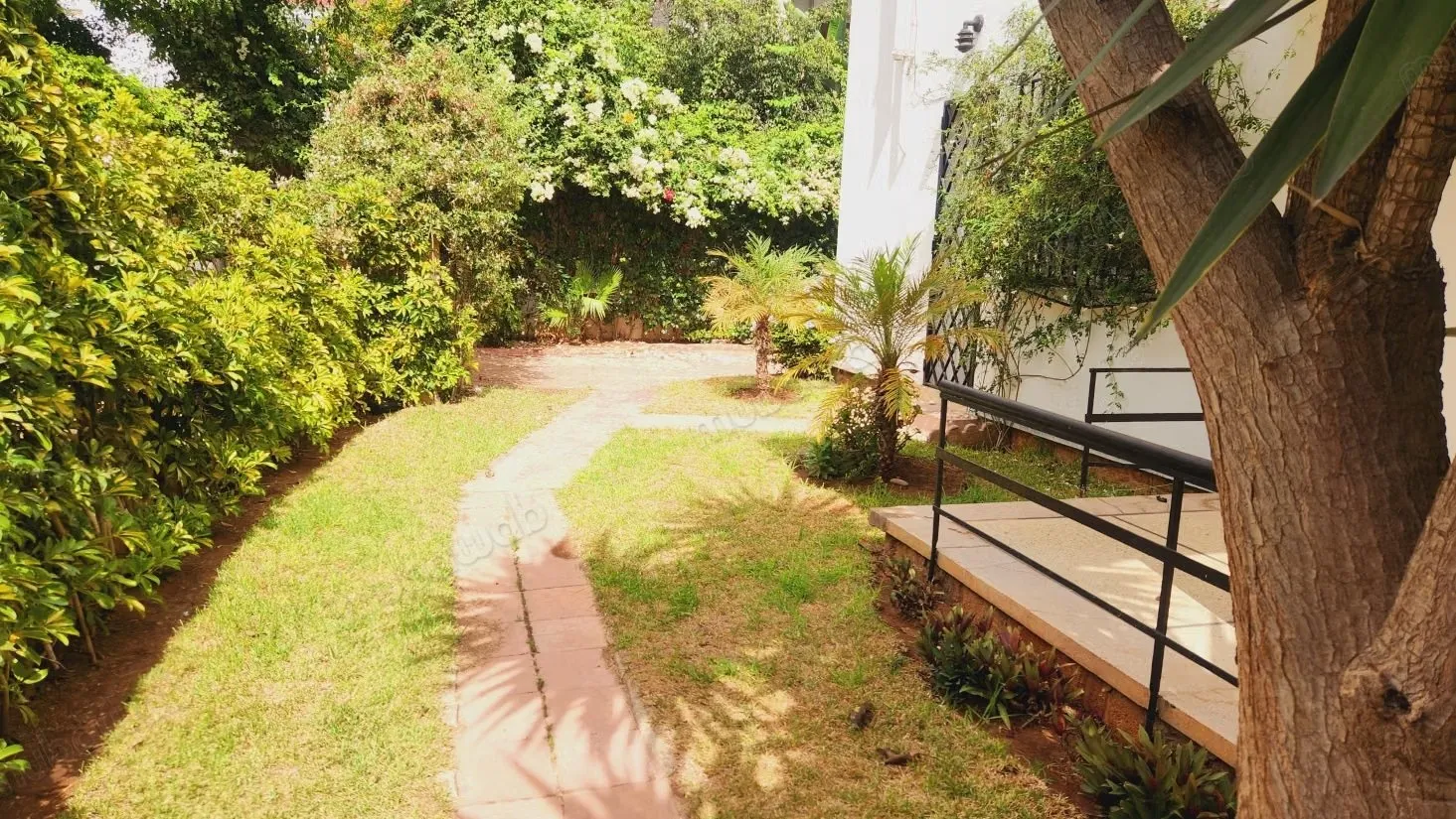 Villa style contemporaine à louer au cil - الدار البيضاء (2)