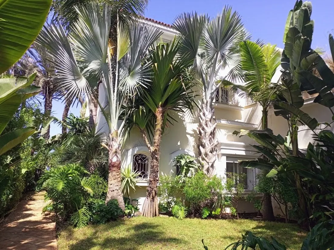 Location Villa à aïn diab - الدار البيضاء (2)