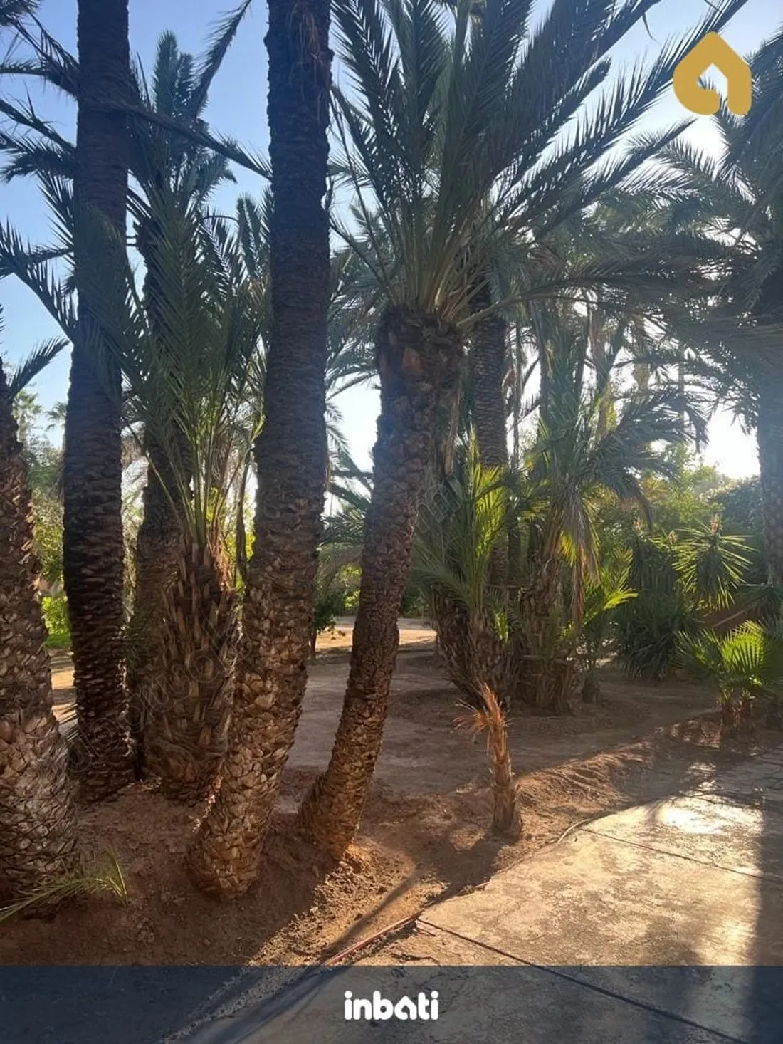 Villa 9000m2 avec service voiture, chauffeur - مراكش (2)