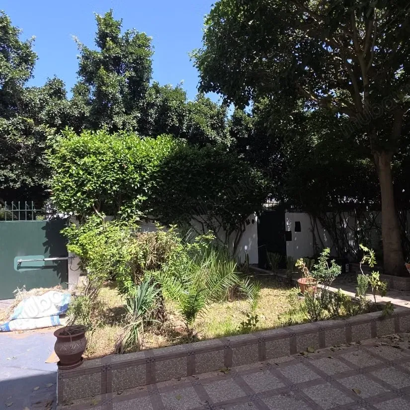 Villa a louer a hassan - الرباط (2)