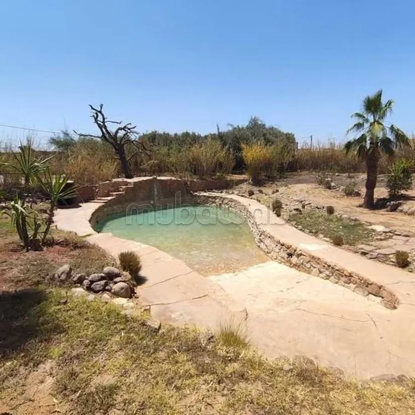 Villa à Louer de 3500.0 m² à Marrakech, Route De Fes Oulad J... - مراكش (3)