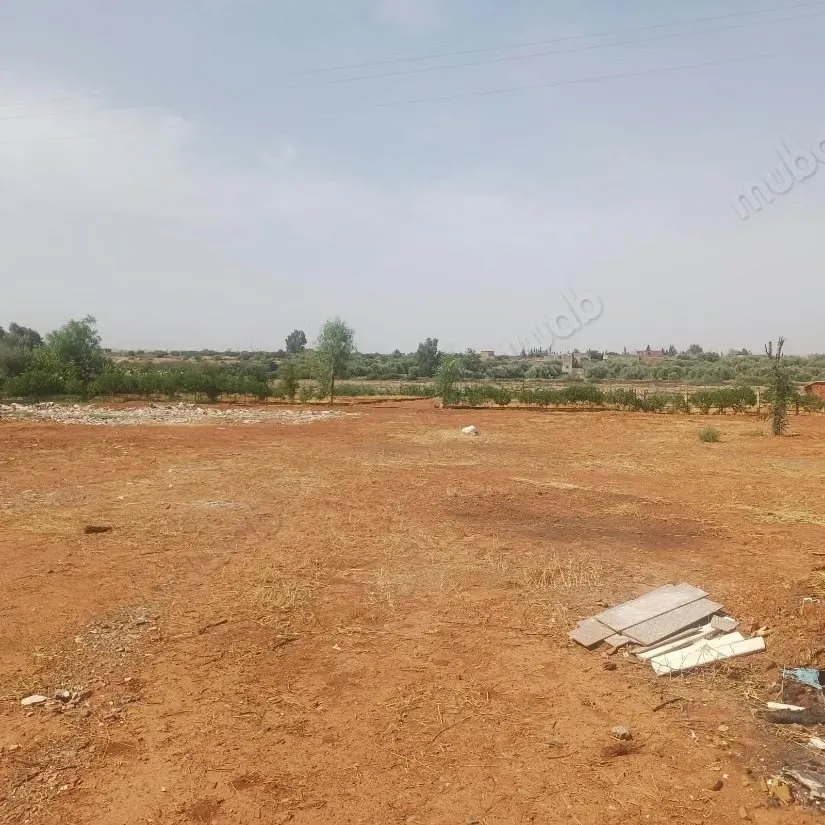 Maison d hotes avec vue et site exeptionnelle sur  ***-*****... - مراكش (2)