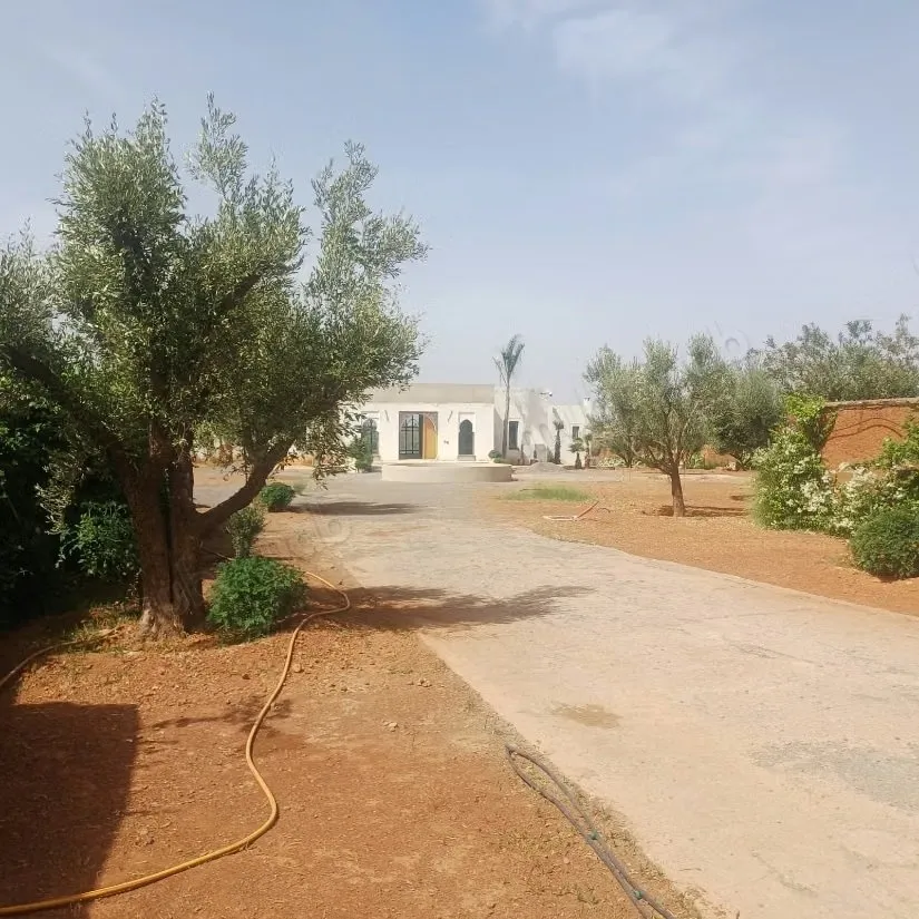 Maison d hotes avec vue et site exeptionnelle sur  ***-*****... - مراكش (3)