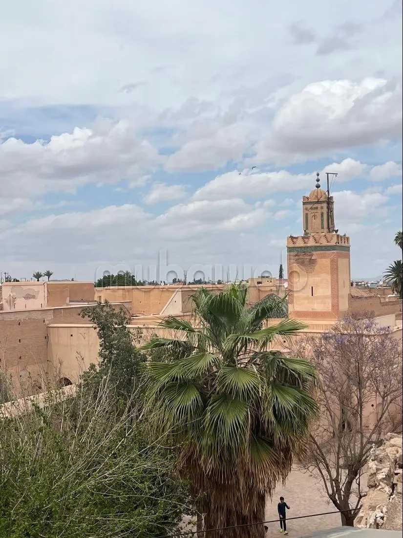 Offre de Vente maison Dwiriya de Charme au Cœur de la Médina... - مراكش