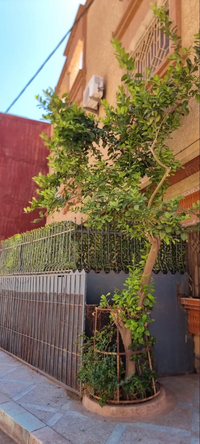 Maison à vendre à Nour. 2 pièces confortables. Parking et te... - وجدة (2)
