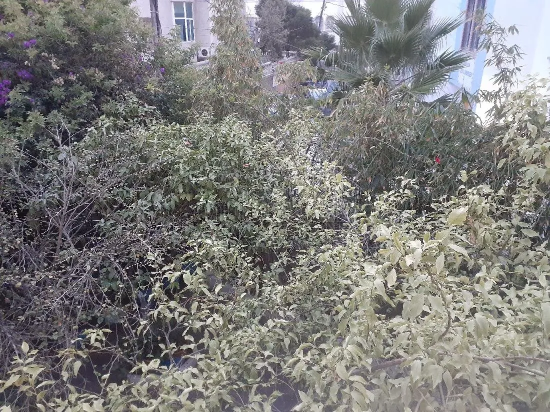 Unique villa de charme plein centre ville - طنجة (3)