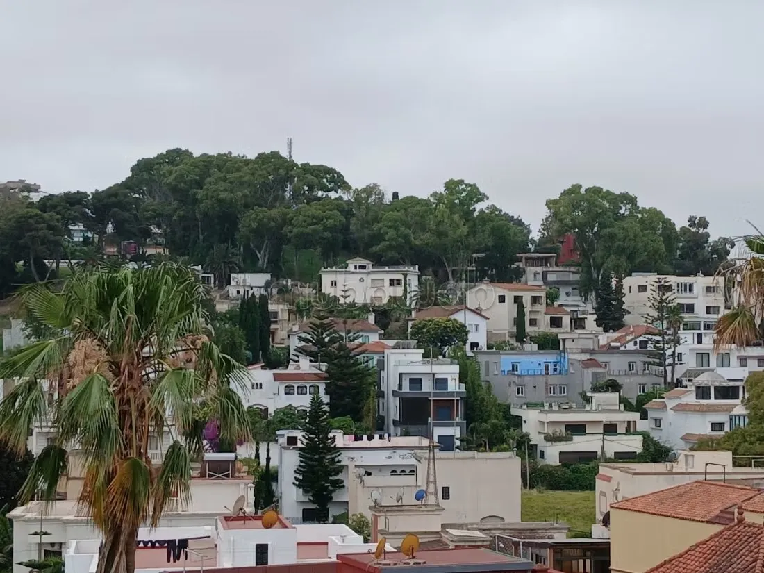 Jolie villa dans un quartier tres calme - طنجة (2)