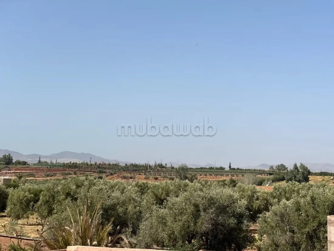 Villa à vendre sur la route de l'ourika - مراكش (3)
