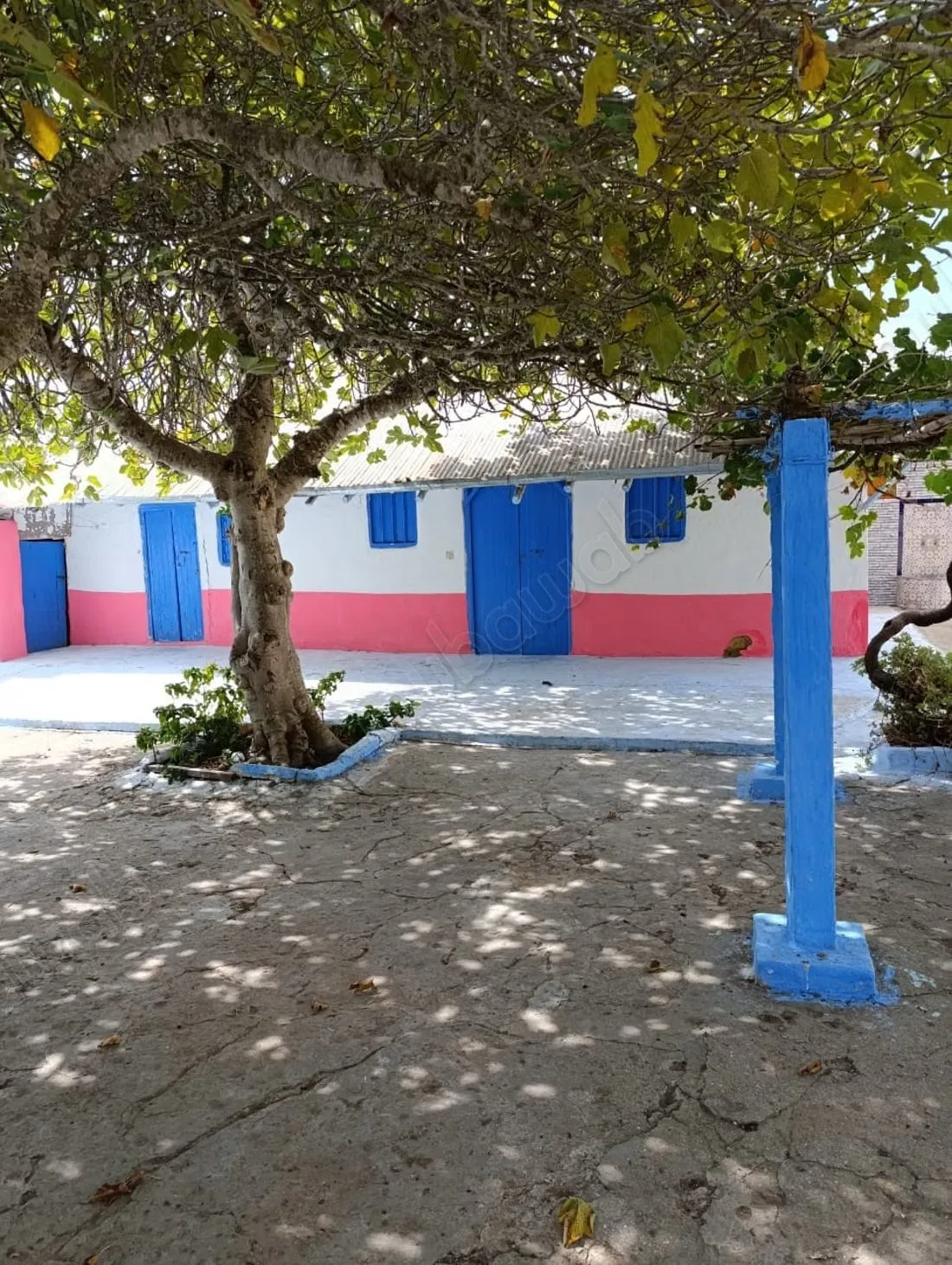 Trouvez votre maison à acheter à Asilah. Surface totale 658... - أصيلة (2)