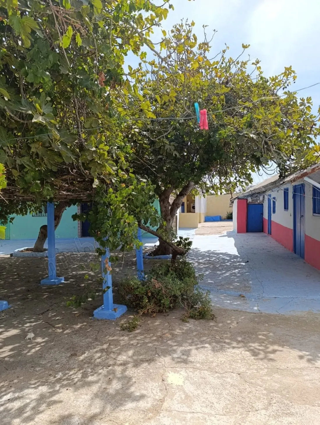 Trouvez votre maison à acheter à Asilah. Surface totale 658... - أصيلة