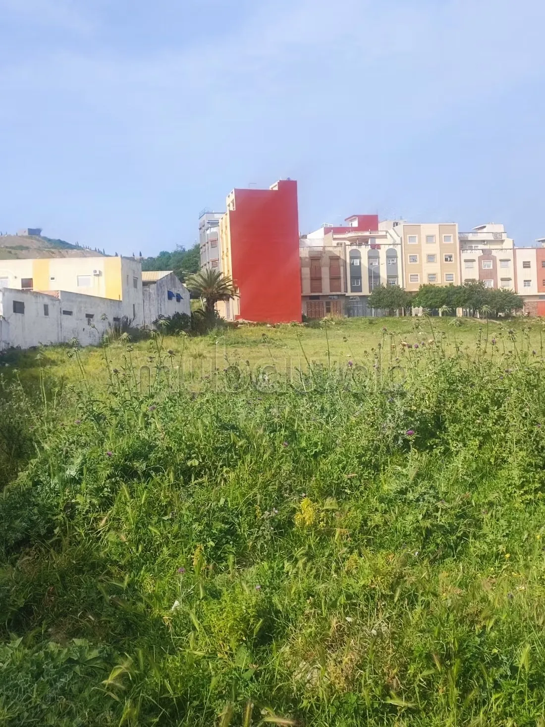 Superbe maison à vendre à Mghogha. 9 belles chambres. Bien m... - طنجة