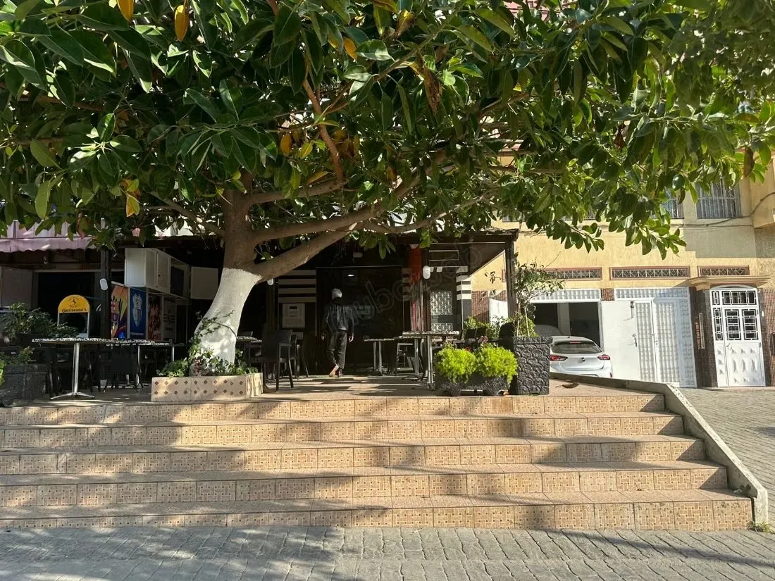 Maison R4 Val Fleuri Tanger, Cafe grand boulvard - طنجة (3)