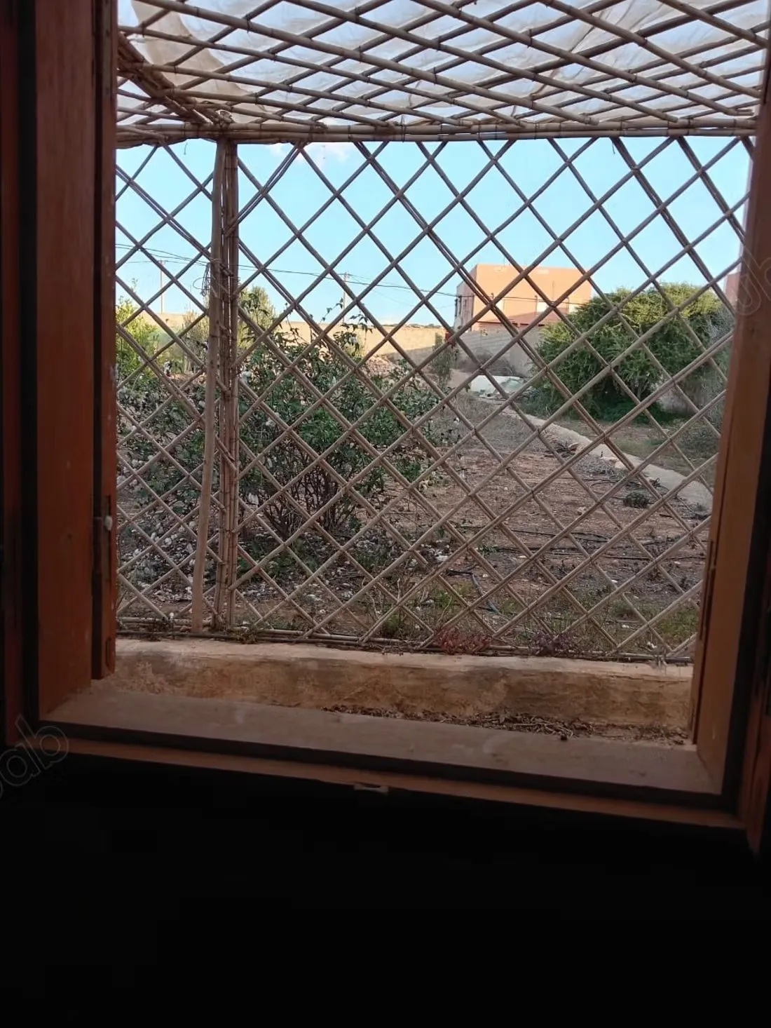 Maison à vendre. 2 chambres. Jardiniers - ماسة (3)