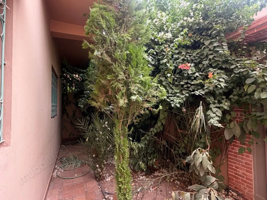 Find a house to rent in Bouaakkaz. Dimension 170 m². Green a... - مراكش